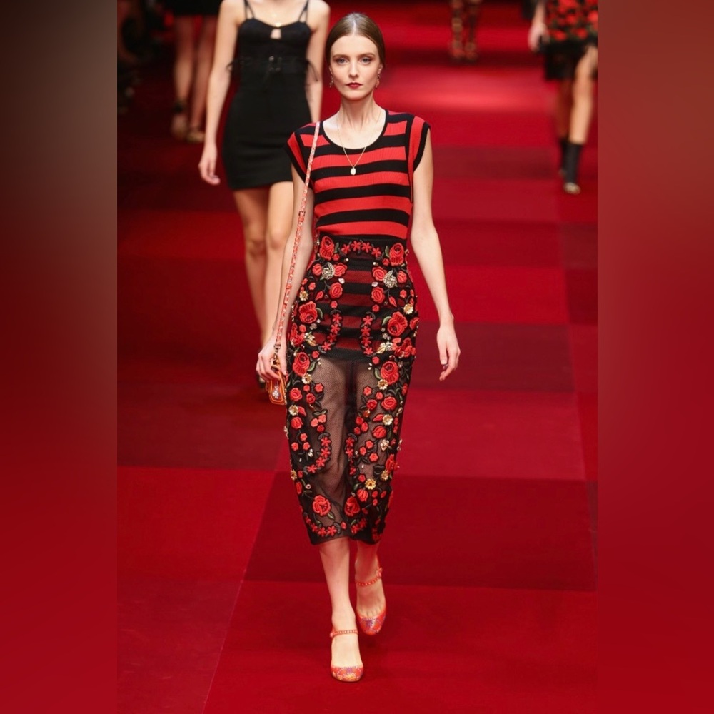 Dolce & Gabbana SS 2015 RARE Embroidered sheer skirt, $19k